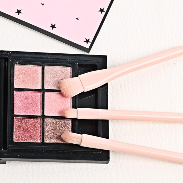 A pink eyeshadow palette with a Small Makeup Brush Set on top.